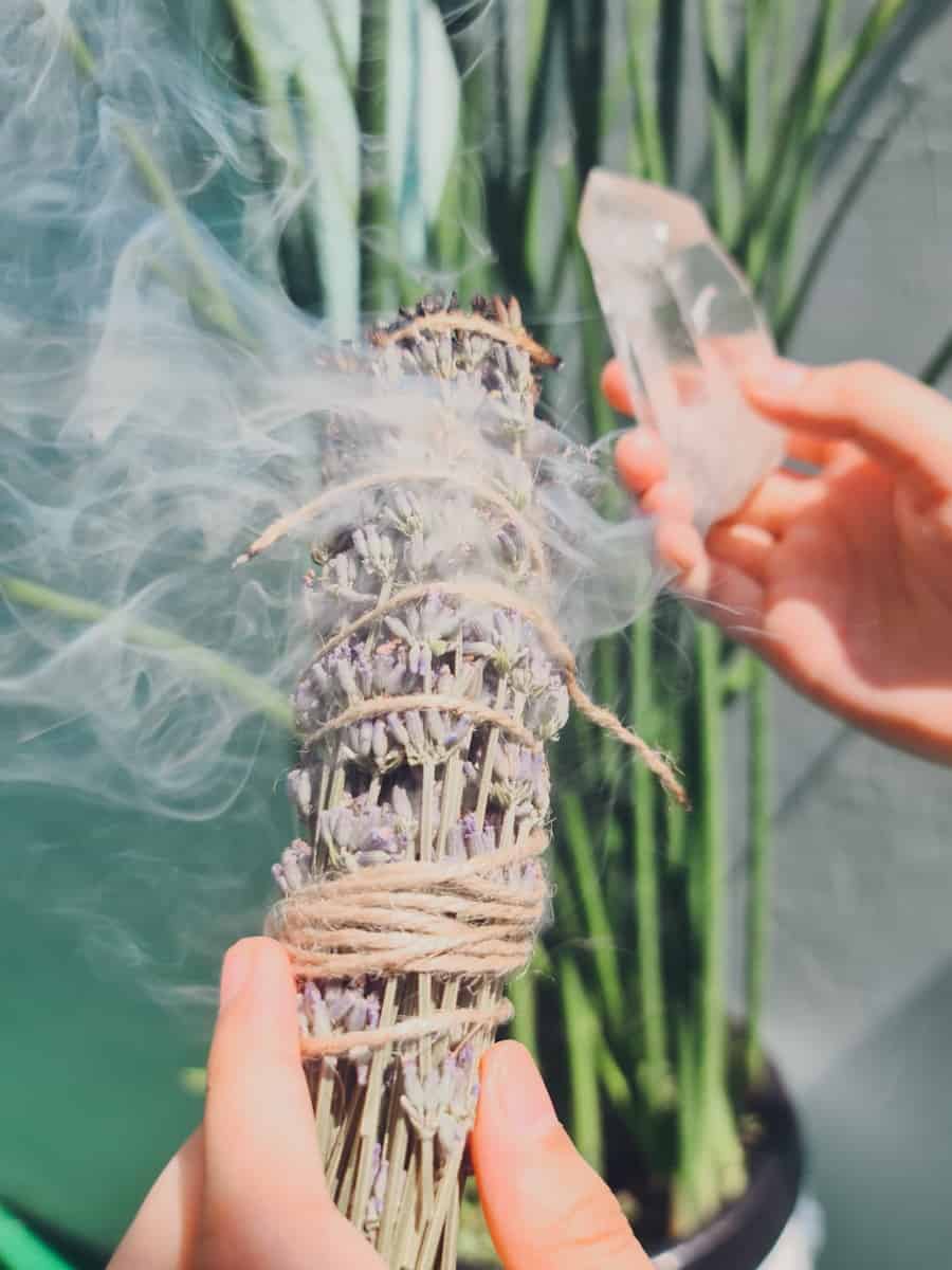Photo by Edz Norton person holding brown and white plant