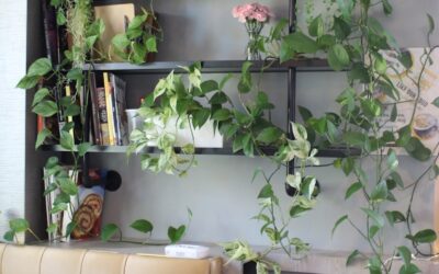 Biophilic Design: Bringing Nature Indoors