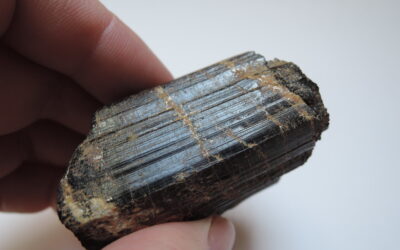 Uncovering Black Tourmaline Crystal’s Protective Influence In Design