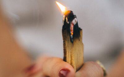 The Essence of Palo Santo: A Pathway to Wellness